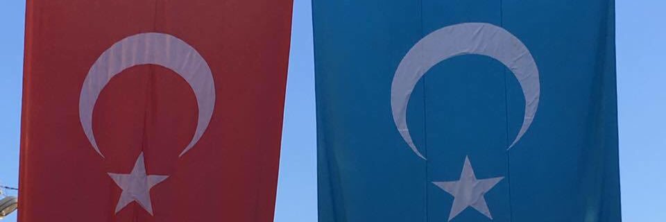 insap_abu's profile banner image