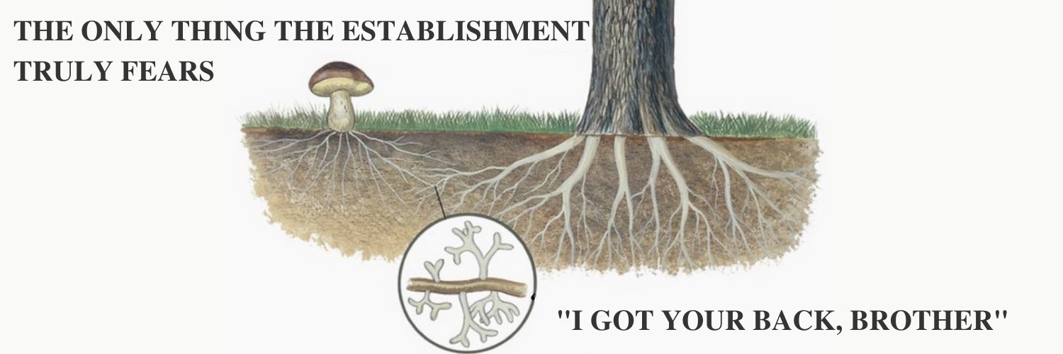 Geastrales's profile banner image