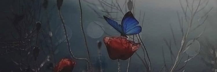 PLamonda's profile banner image