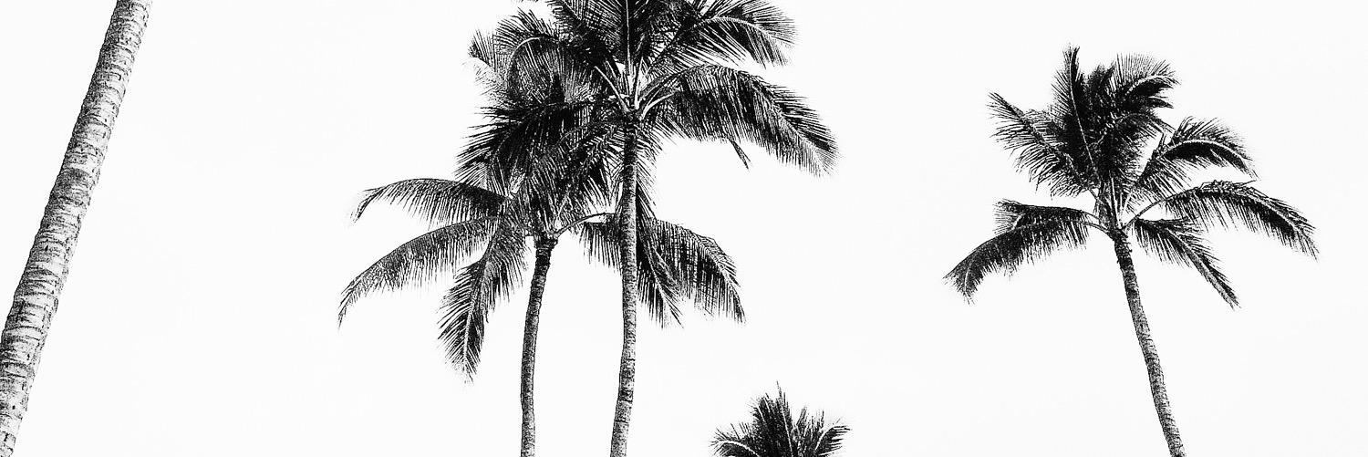 _SEAGYPSEA_'s profile banner image