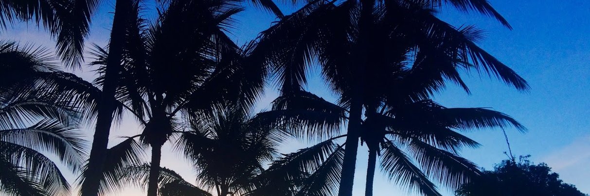 AmyTurnbullFNQ's profile banner image