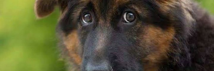 jaypcheckers's profile banner image
