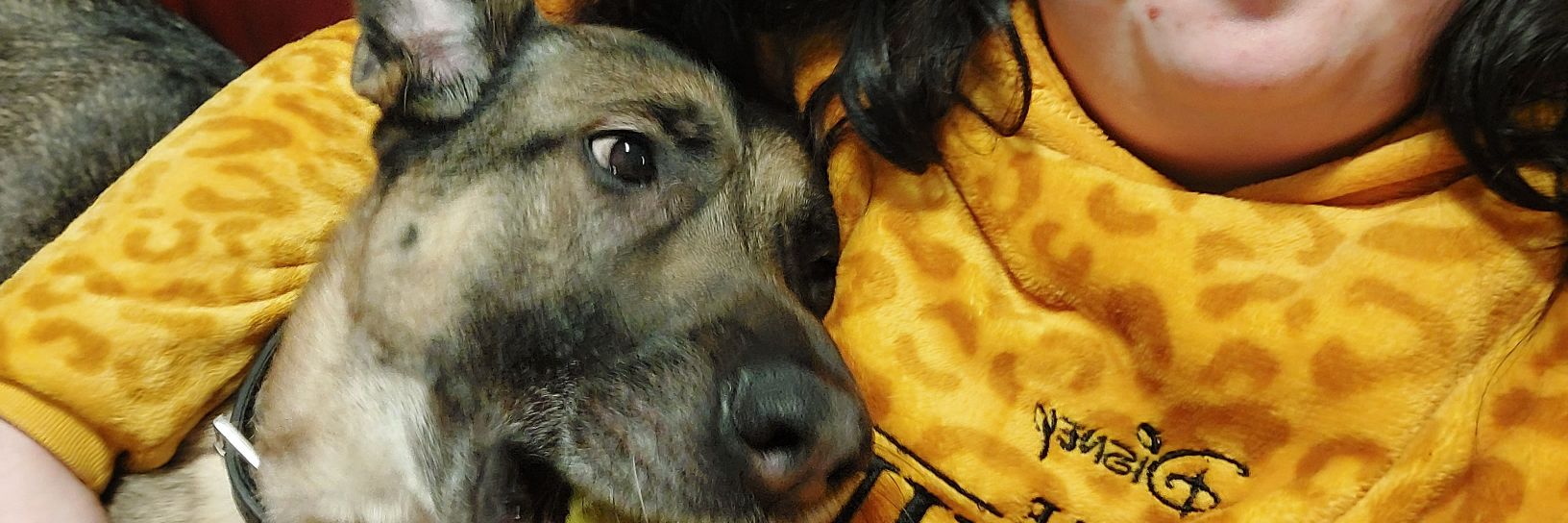 Frankydink's profile banner image