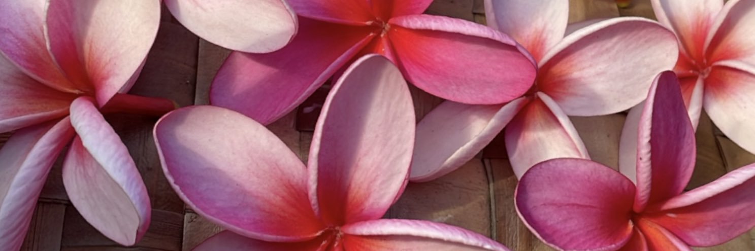 cheamva's profile banner image
