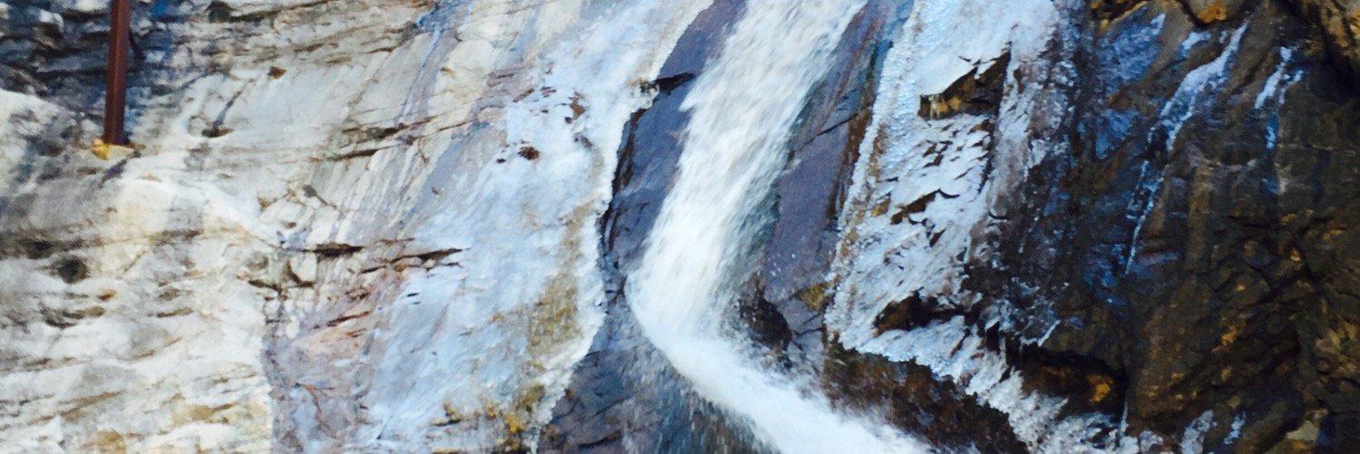 mtgsplusmoore's profile banner image