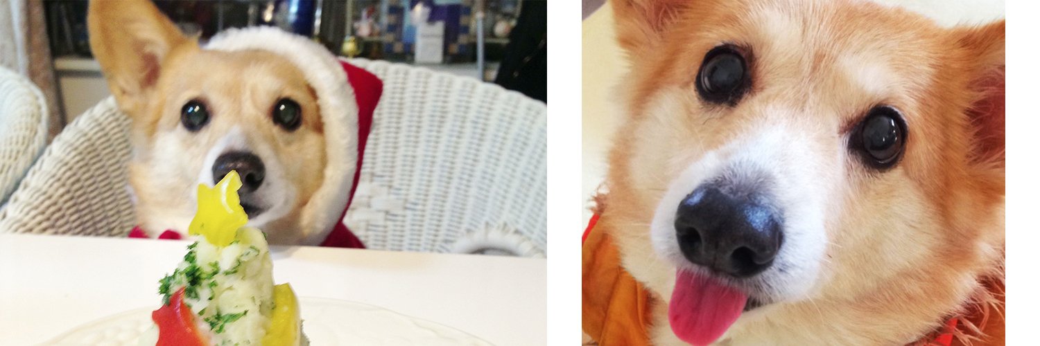 Feel_honey's profile banner image
