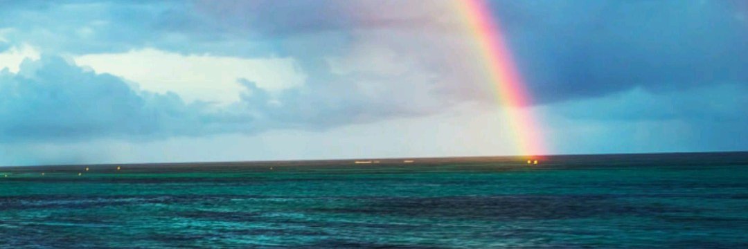 AriannaGB09's profile banner image
