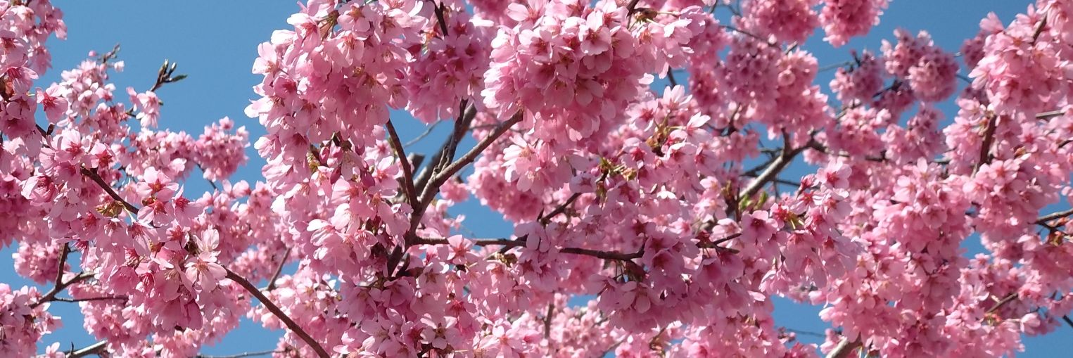 23sub_f's profile banner image