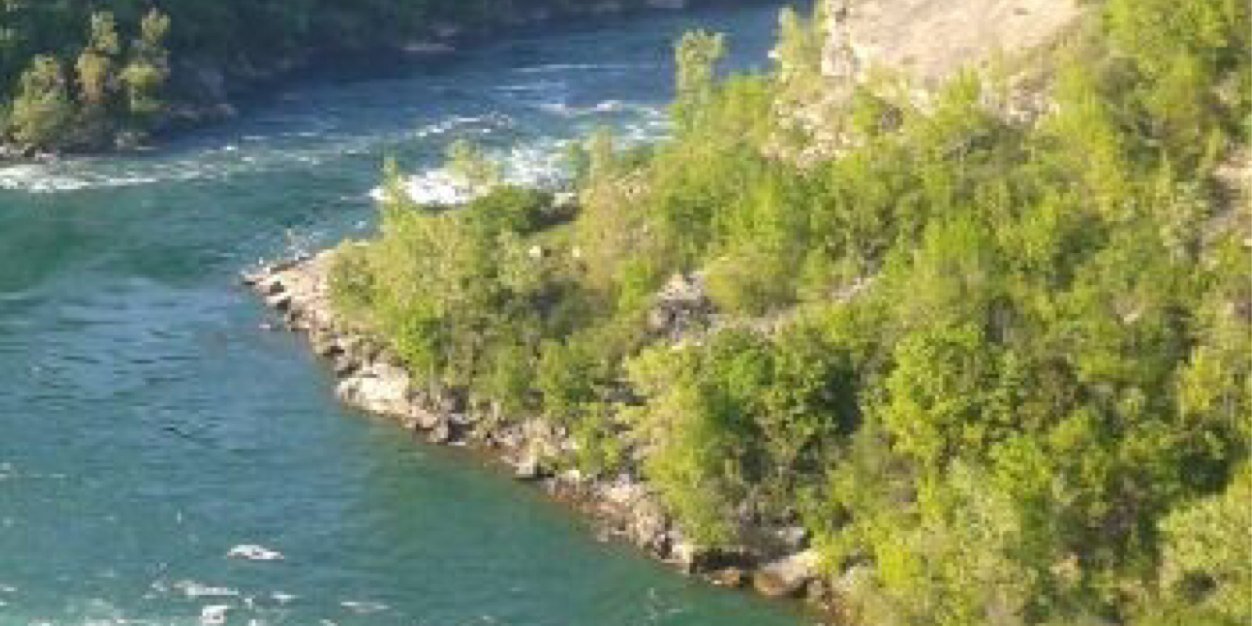 Sharron Leithwood banner