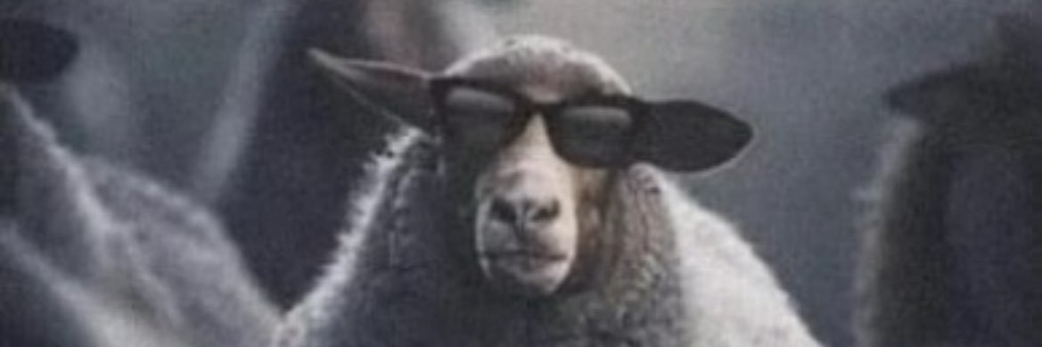 Señorito Mu 😎 banner