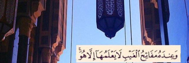 ضيف الله الـمفرج ⚖️ banner