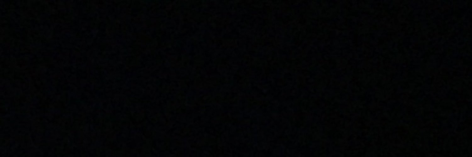 sophiaremo's profile banner image