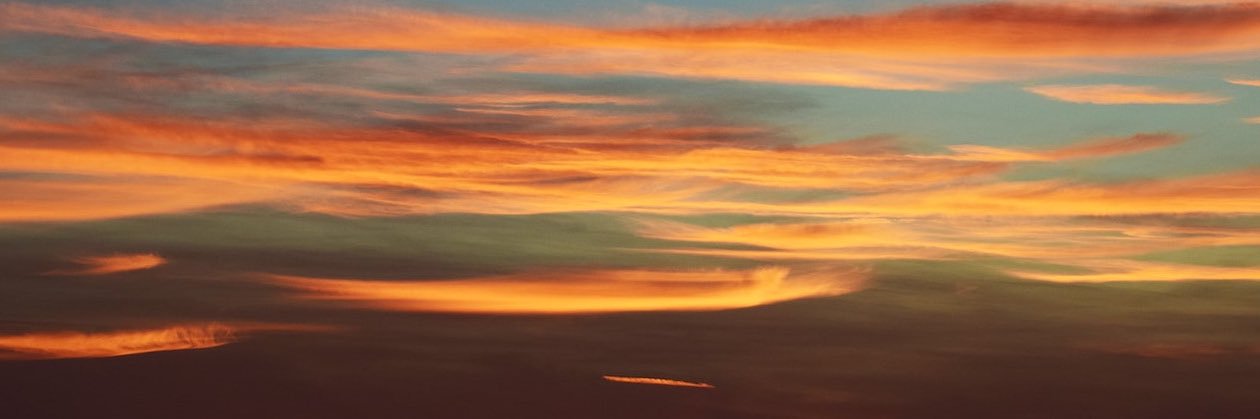 Rasheed رشيـد banner