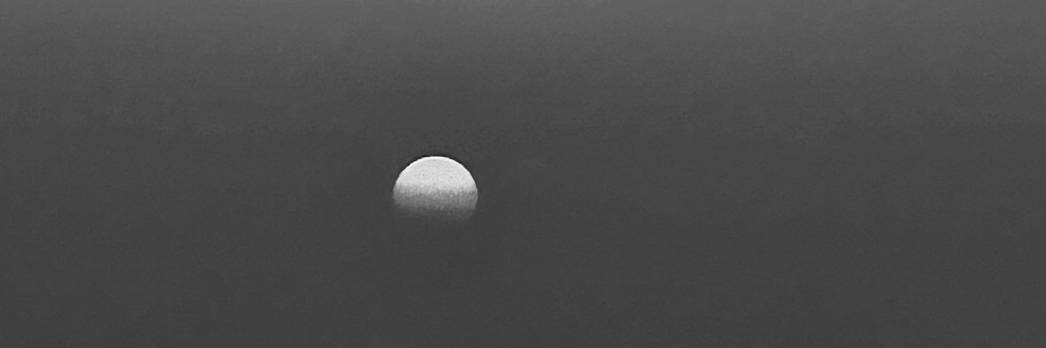 faouzia banner