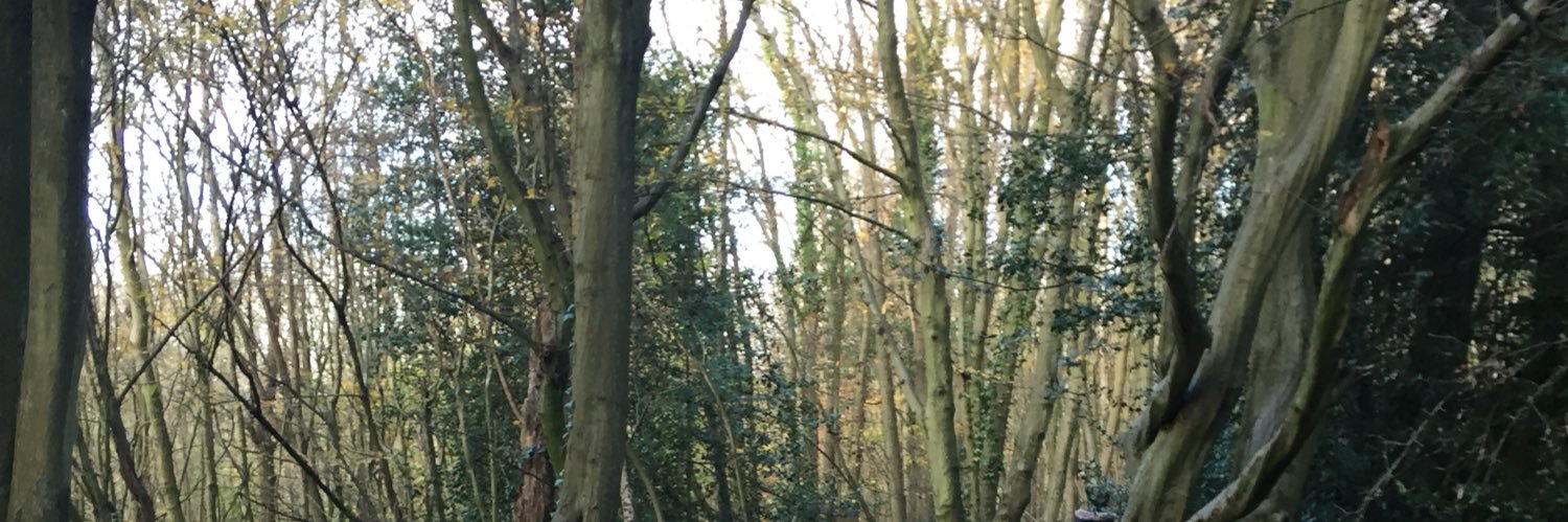 RichWarnham's profile banner image
