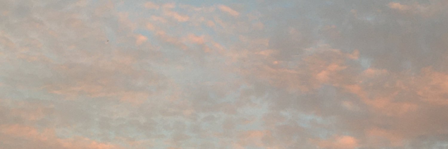 dennosaurr's profile banner image