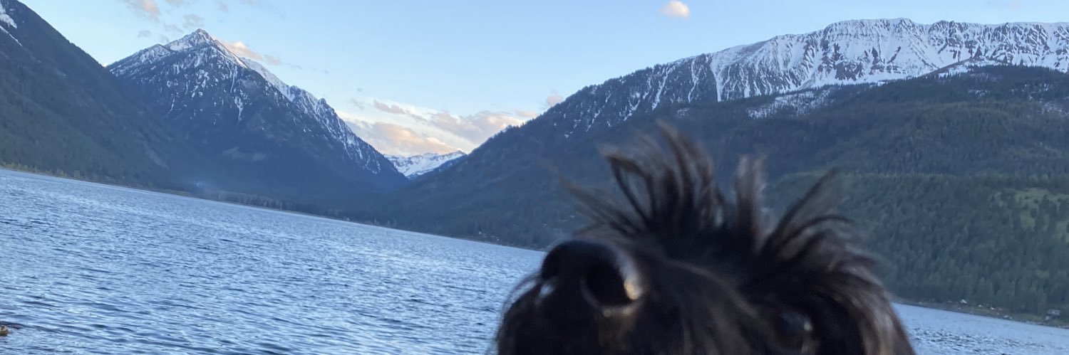caevanmurray's profile banner image