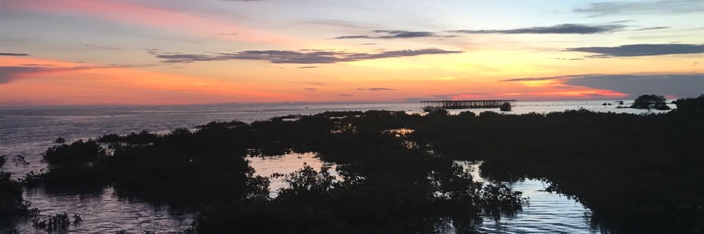 MiikeThomas's profile banner image
