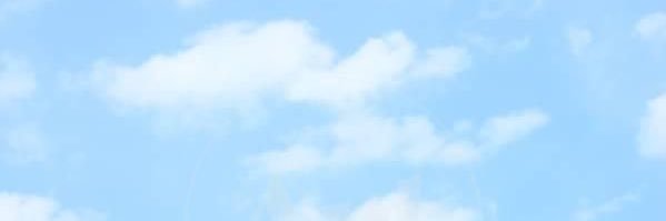 _mols's profile banner image