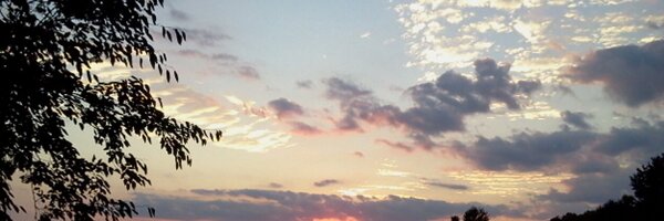 _Laura_Ashley Profile Banner