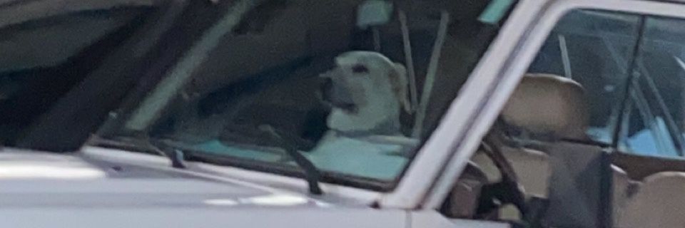DnnsNarvaez's profile banner image