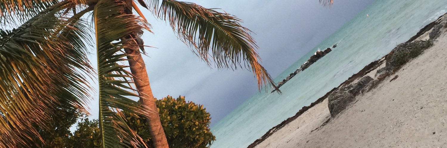lalybd_'s profile banner image