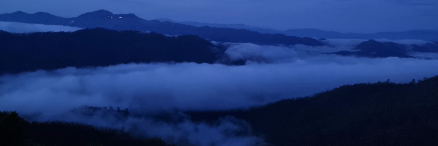poompuij's profile banner image