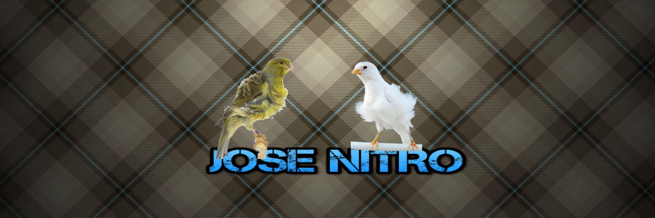 NITROLITO's profile banner image