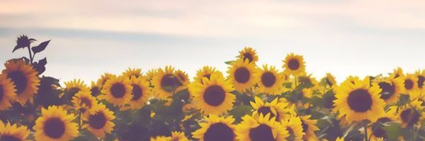aprilwoods_'s profile banner image