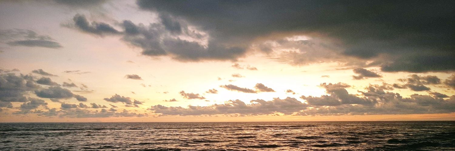 Thileepan Shanmugam banner