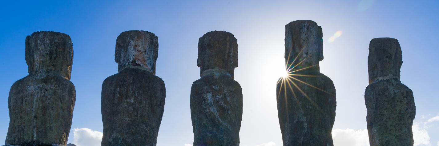 David Slotnick banner