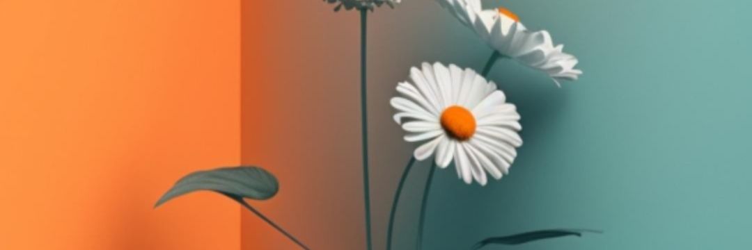 _s22as's profile banner image