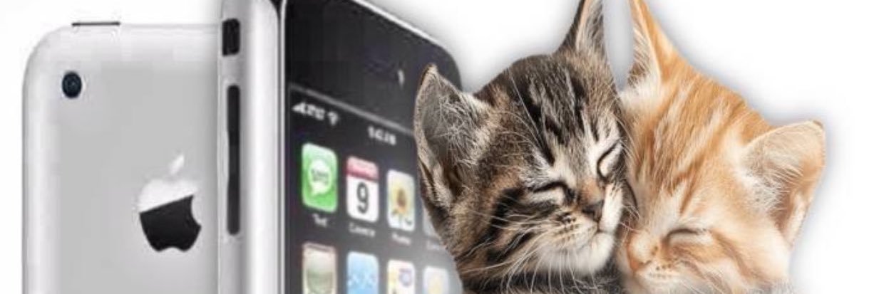 Peter Digital banner