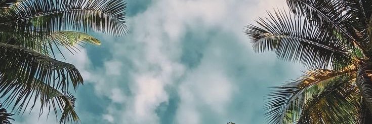 Pololowsky banner