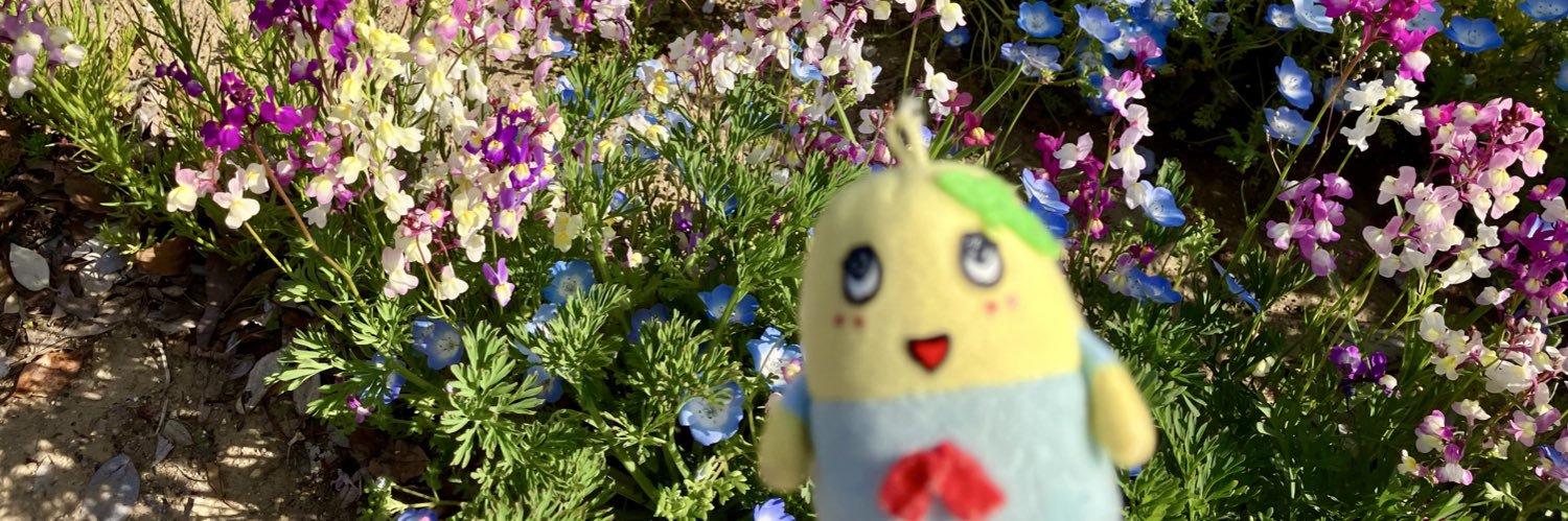 fukupee38's profile banner image