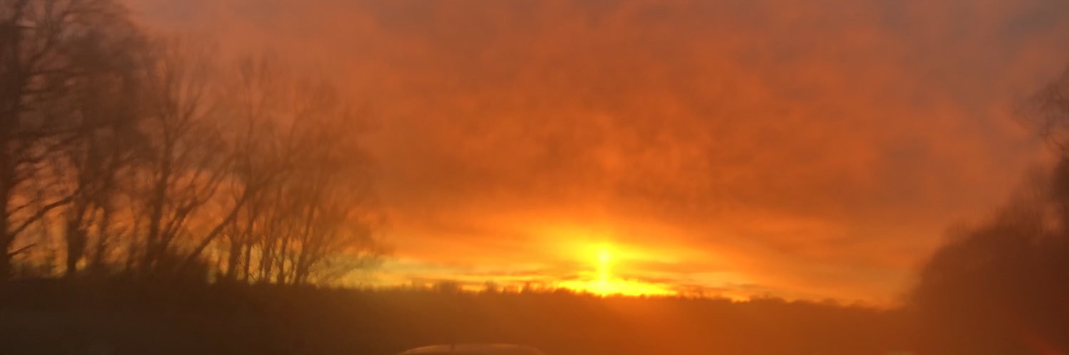 BeePeePee's profile banner image