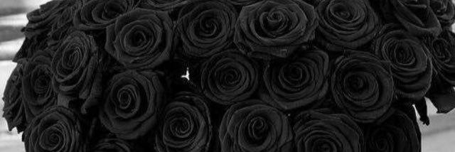 williamjennylee's profile banner image