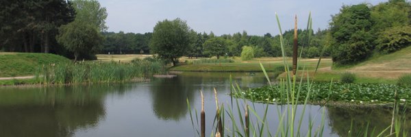 WalmleyGC Profile Banner