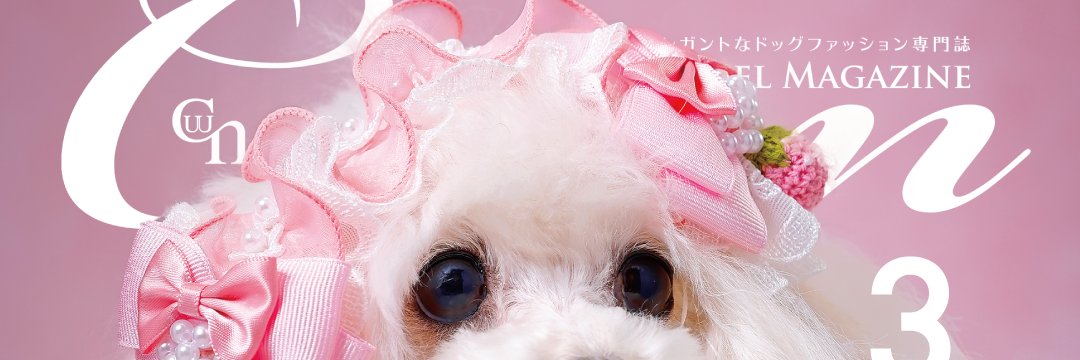 cuun_x's profile banner image