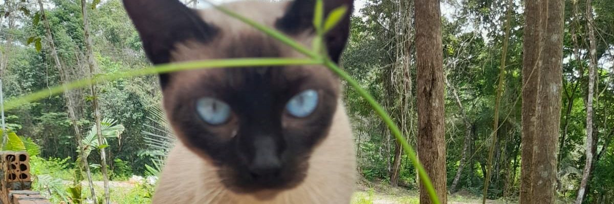 LeeSanMartin's profile banner image