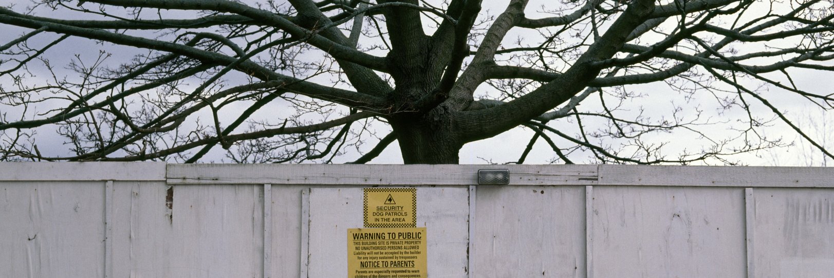 eva_ben's profile banner image