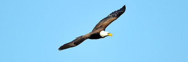 coniz Profile Banner