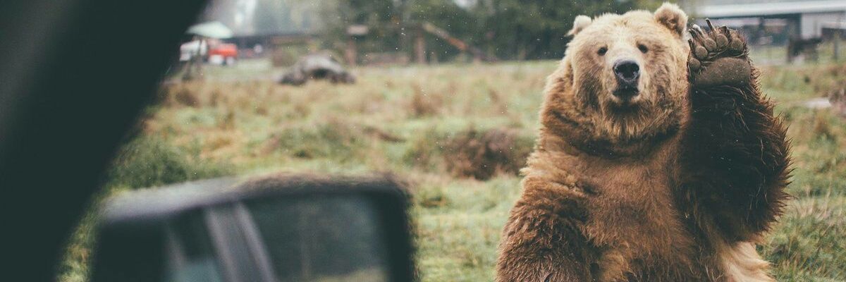 thoughtsofSof's profile banner image