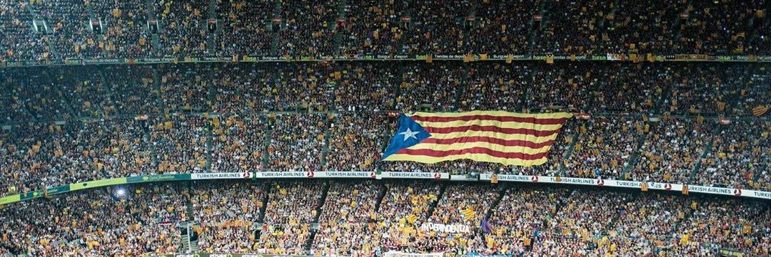 mimosagroga's profile banner image