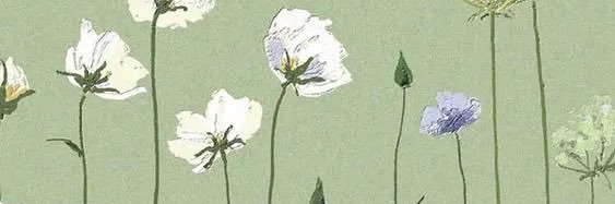 kater1102's profile banner image