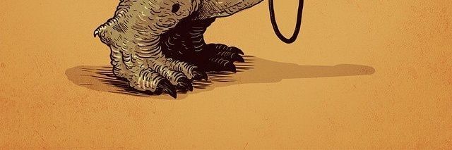 yesengeldi's profile banner image