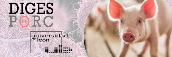 HArguelloRguez Profile Banner