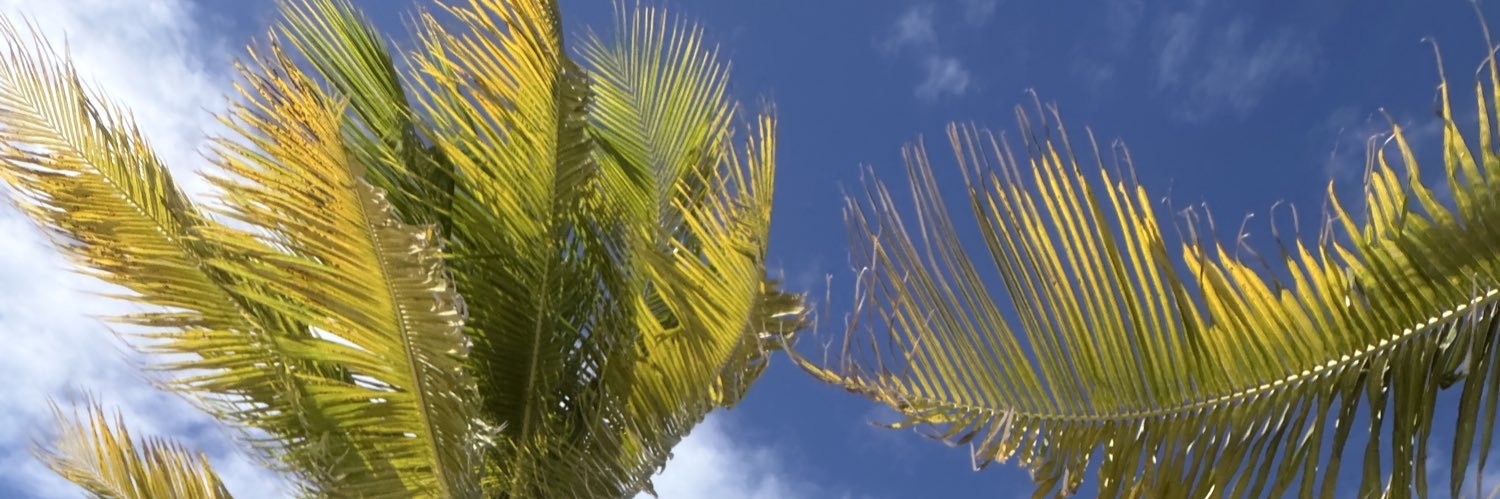 InternetVince's profile banner image