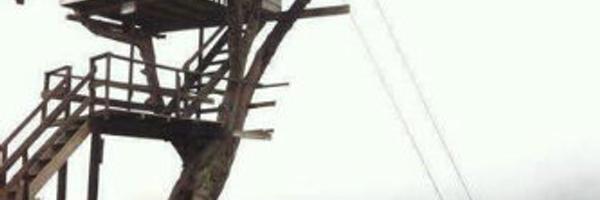 emysuntika Profile Banner