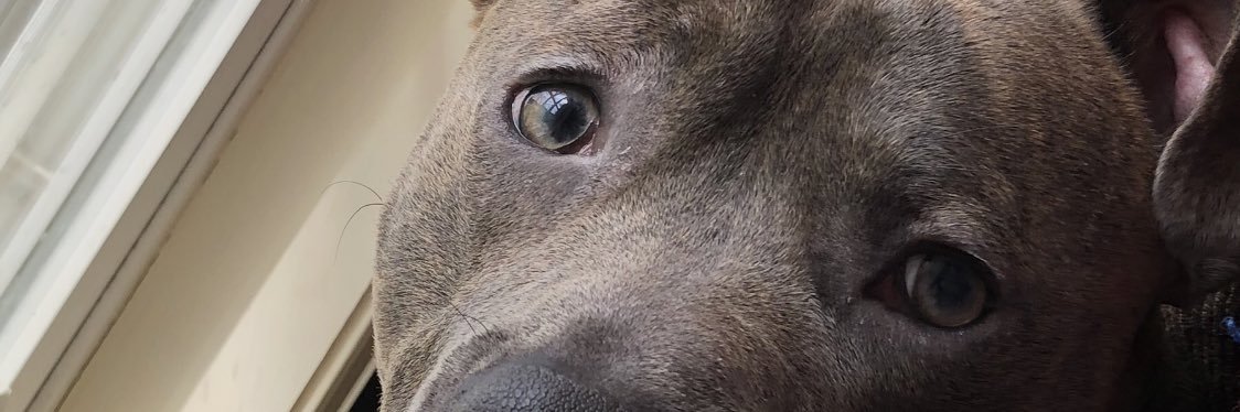 vboone18's profile banner image
